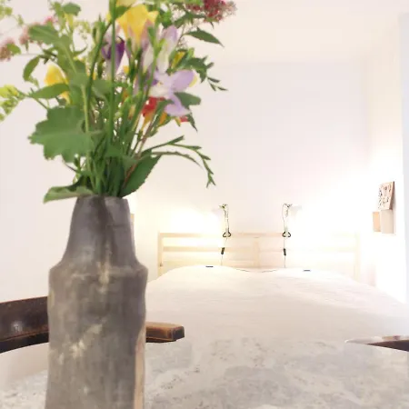 شقة Ferienstudio-apartment Tausendfreund 