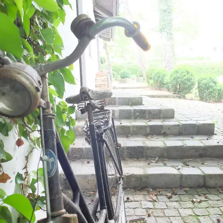 Apartman Ferienstudio-apartment Tausendfreund 